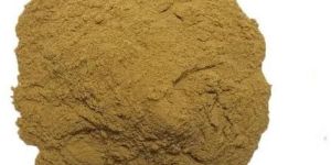 SWERTIA CHIRATA (CHIRAYATA)