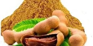 tamarindus indica imli extract