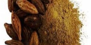 Terminalia Arjuna Powder