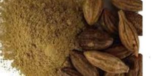 TERMINALIA CHEBULA (HARITAKI)