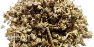 Tribulus Terrestris (Gokhru)