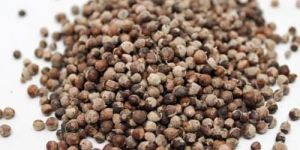 vitex agnus-castus chasteberry extract