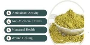 vitex negundo nirgundi extract