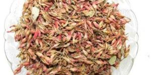 woodfordia fruticosa dhai phul extract