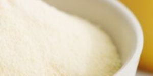 Processed Cheese Powder