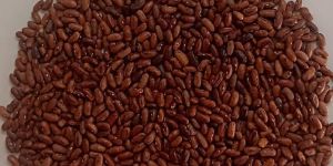 Rajma