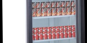 Visi Coolers RVC300B