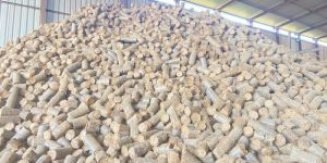 Agro Waste Briquette