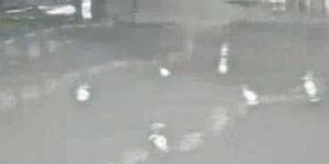 Tri Polarcon Epoxy Flooring Services