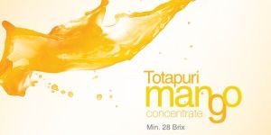 Totapuri Mango Concentrate