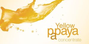 Yellow Papaya Concentrate