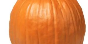 Pumpkin