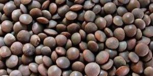 Siddab Whole Lentil / Saabut Dal 2kg