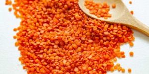 Vendor: Siddab Red Split Lentil / Masoor Malka 1Kg