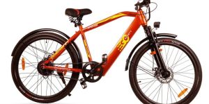 Gosporty Bronze Sporty Electric Bicycles (GS-VERS-03)