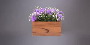 TEAKWOOD HAND MADE TABLE TOP WITH CERAMIC POT (MICRO GREEN)