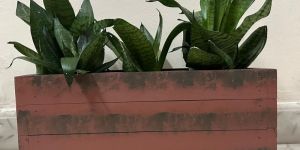 TEAKWOOD PLANTER BOX (NECTAR)