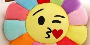 Velvet Delight Sunflower Smiley Cushions