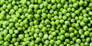 Green Peas