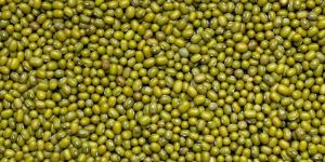 Mung Bean (Green Moong)
