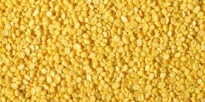 Yellow Moong Dal