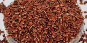 Organic Flax Seeds