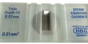 Sperm Counting Chamber