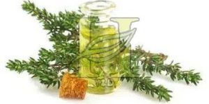 Thyme Oil
