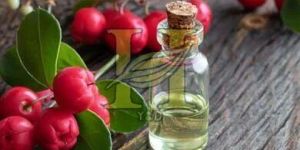 Wintergreen Oil