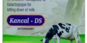 Kancal DS Tranquilizer Galactogogue Bolus