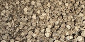 Bio Mass Briquettes