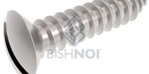 Slotted Raised Countersunk Tapping Screws