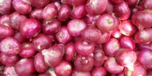 Red Onion