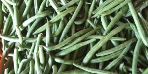 Fresh Green Beans