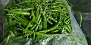Fresh Green Chilli