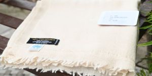 Plain Kashmiri Pashmina Shawl