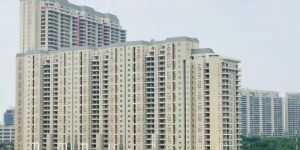 DLF The Camellias 4 BHK Apartment