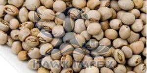Pigeon Pea Seeds