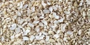 SP1/8 Split Cashew Nuts