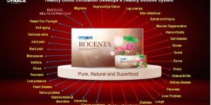 dynace rocenta powder