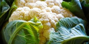 Fresh Cauliflower