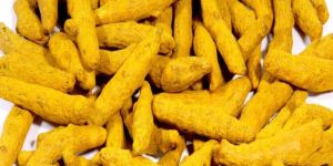 Nizamabad Turmeric Finger