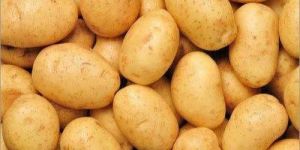 Fresh 3797 Potato
