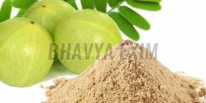 Amla Powder