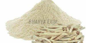 Shatavari Powder