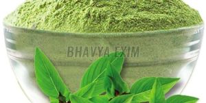 Tulsi Powder