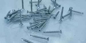 Galvanized Screw