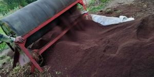 Organic Vermicompost Fertilizer