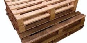 Jungle Wood Pallets