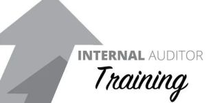 Internal Auditor Training Services
